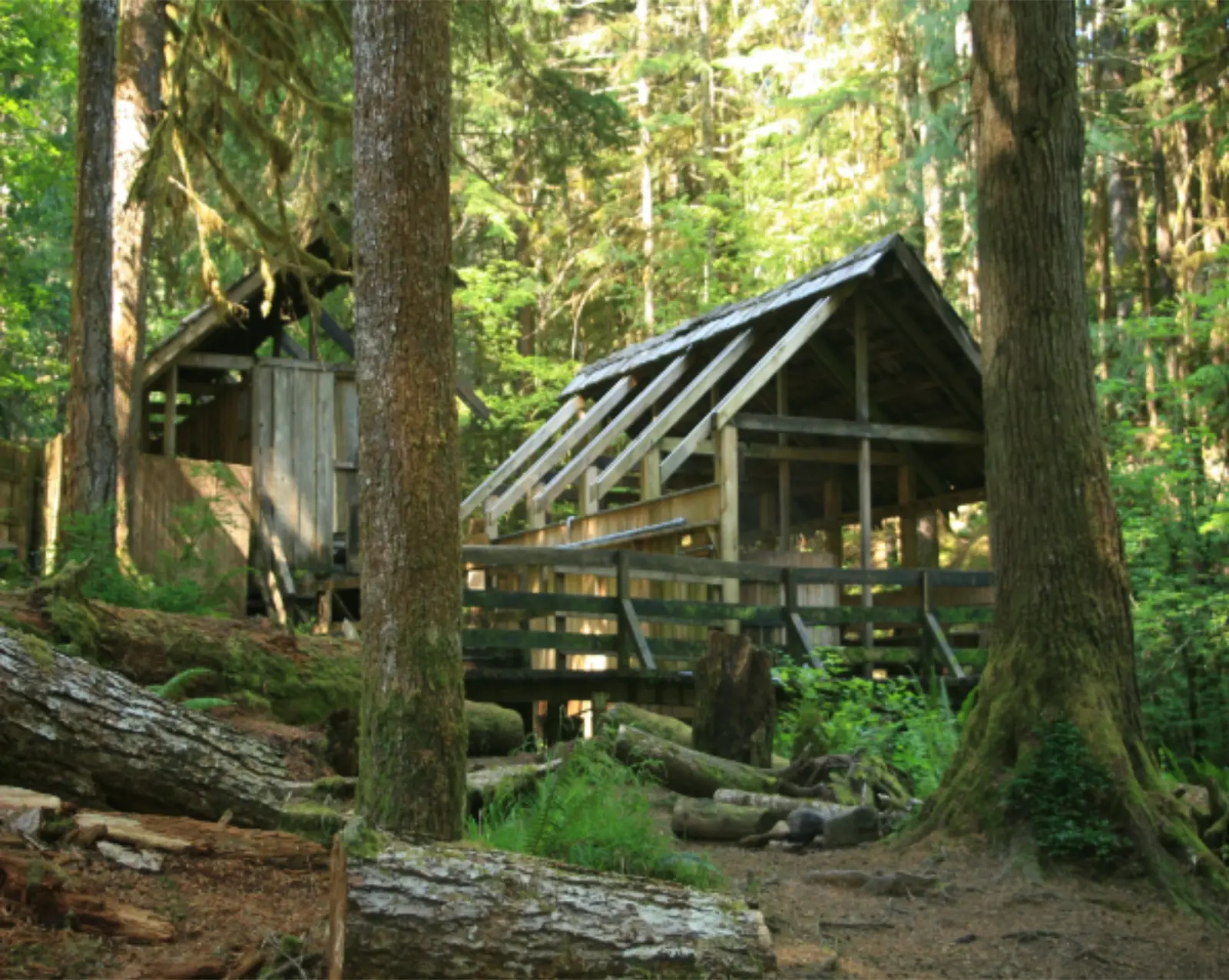 Bagby Hot Springs, Oregon