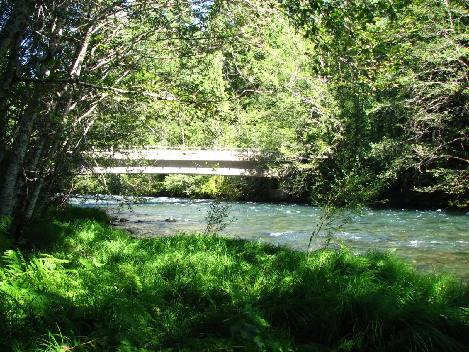 Deer Creek Hot Springs, Oregon