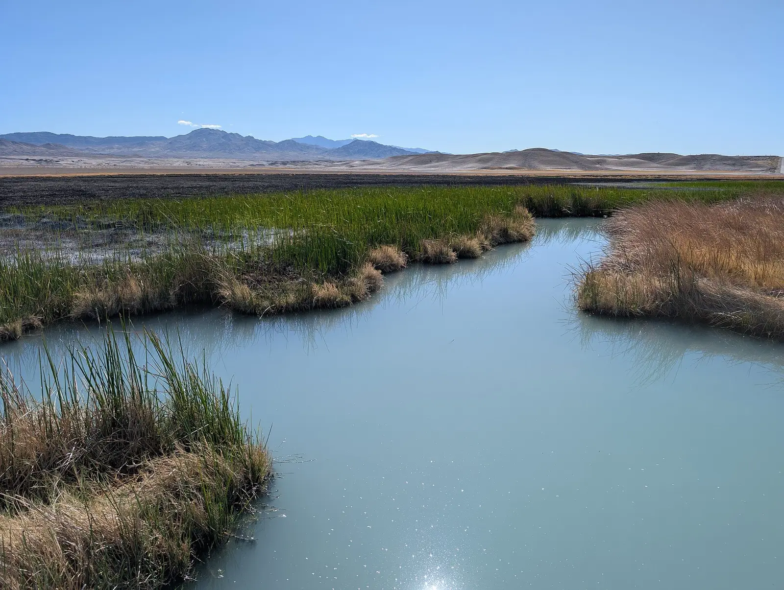 Borehole Spring, California