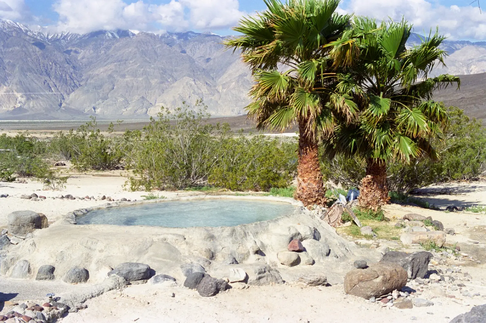 Palm Spring, Saline Valley, California
