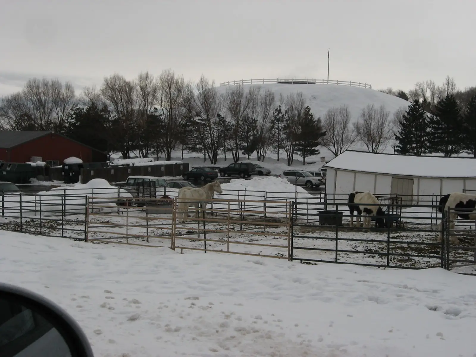 Homestead Crater, Utah