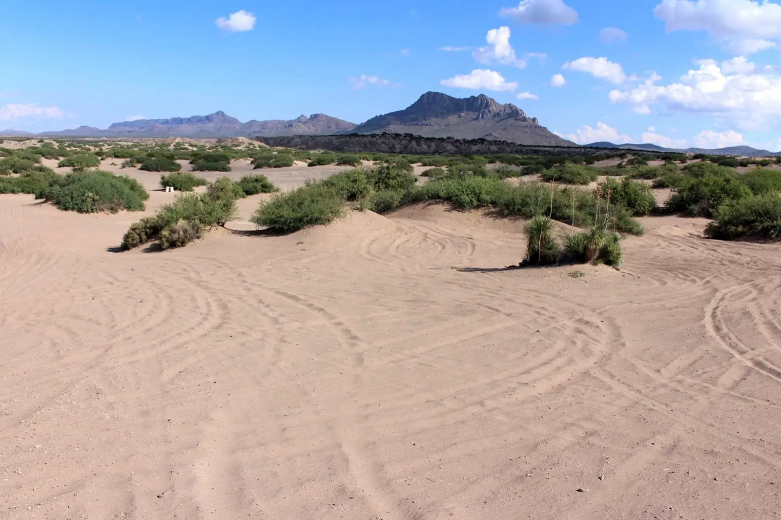 Hot Well Dunes, photo 1