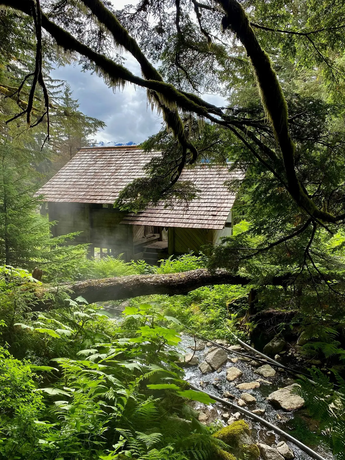 Chief Shakes Hot Springs, photo 1