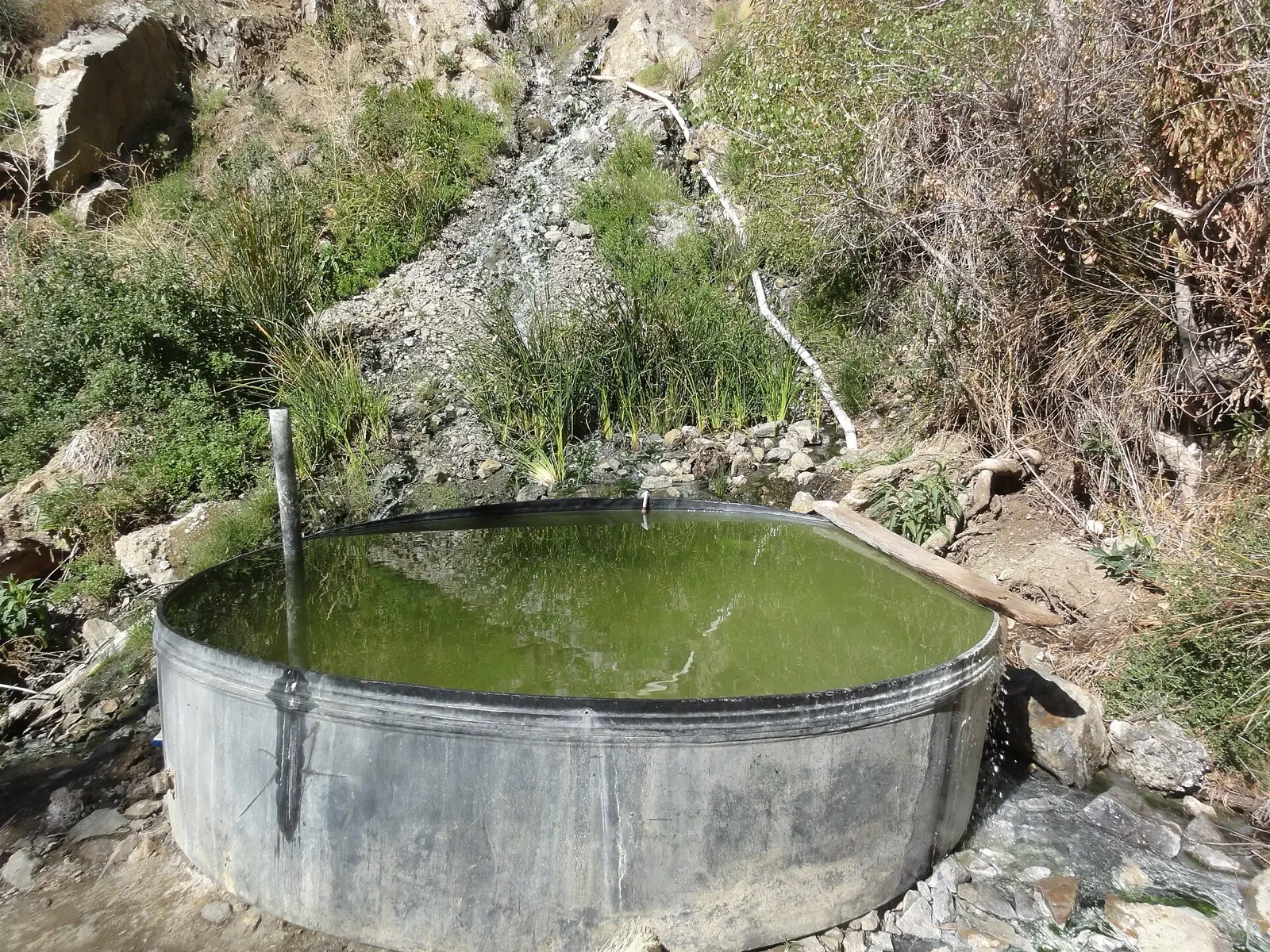 Willett Hot Springs, California
