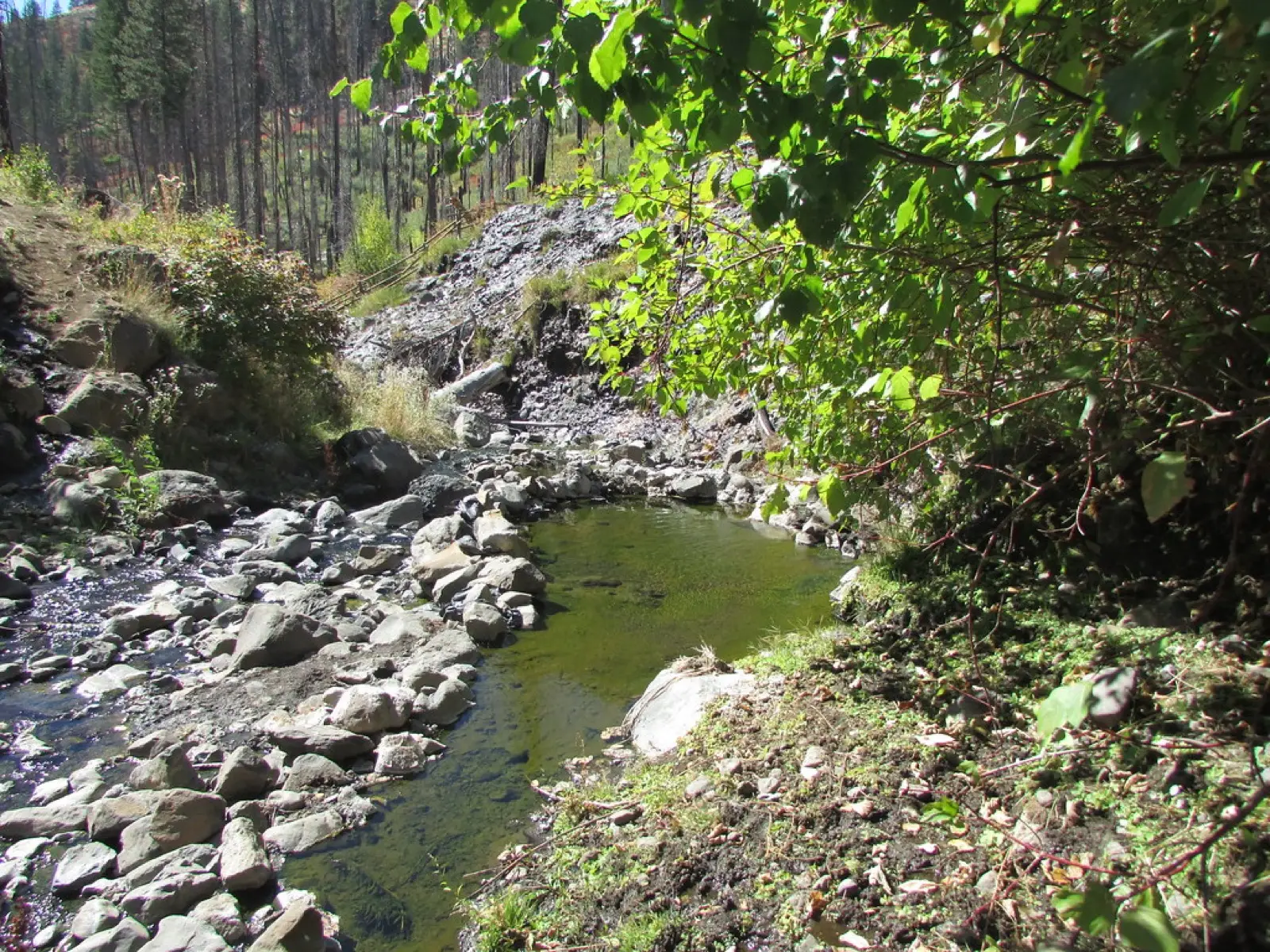 Council Mountain Hot Springs, Idaho