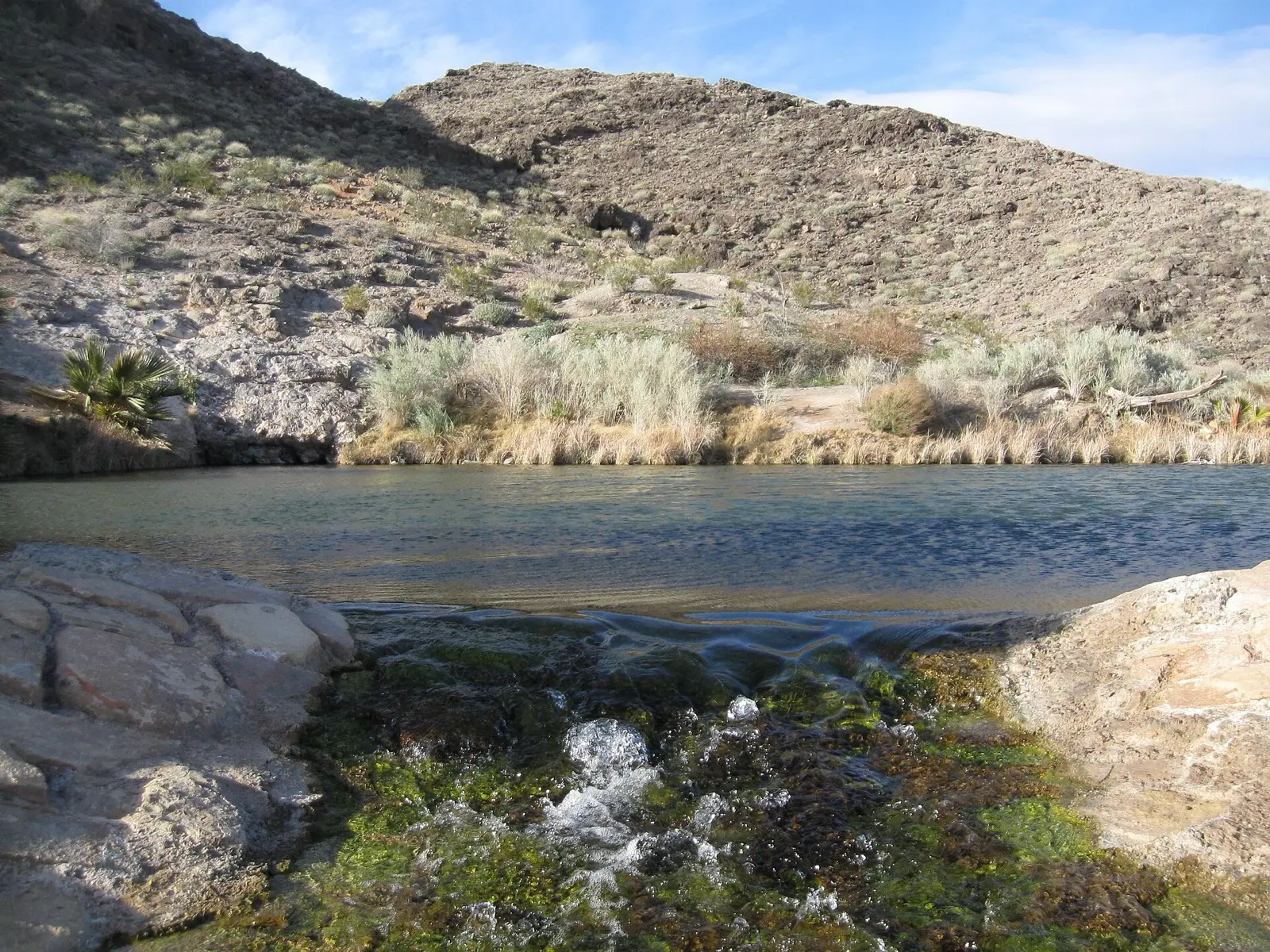 Rogers Spring, photo 1