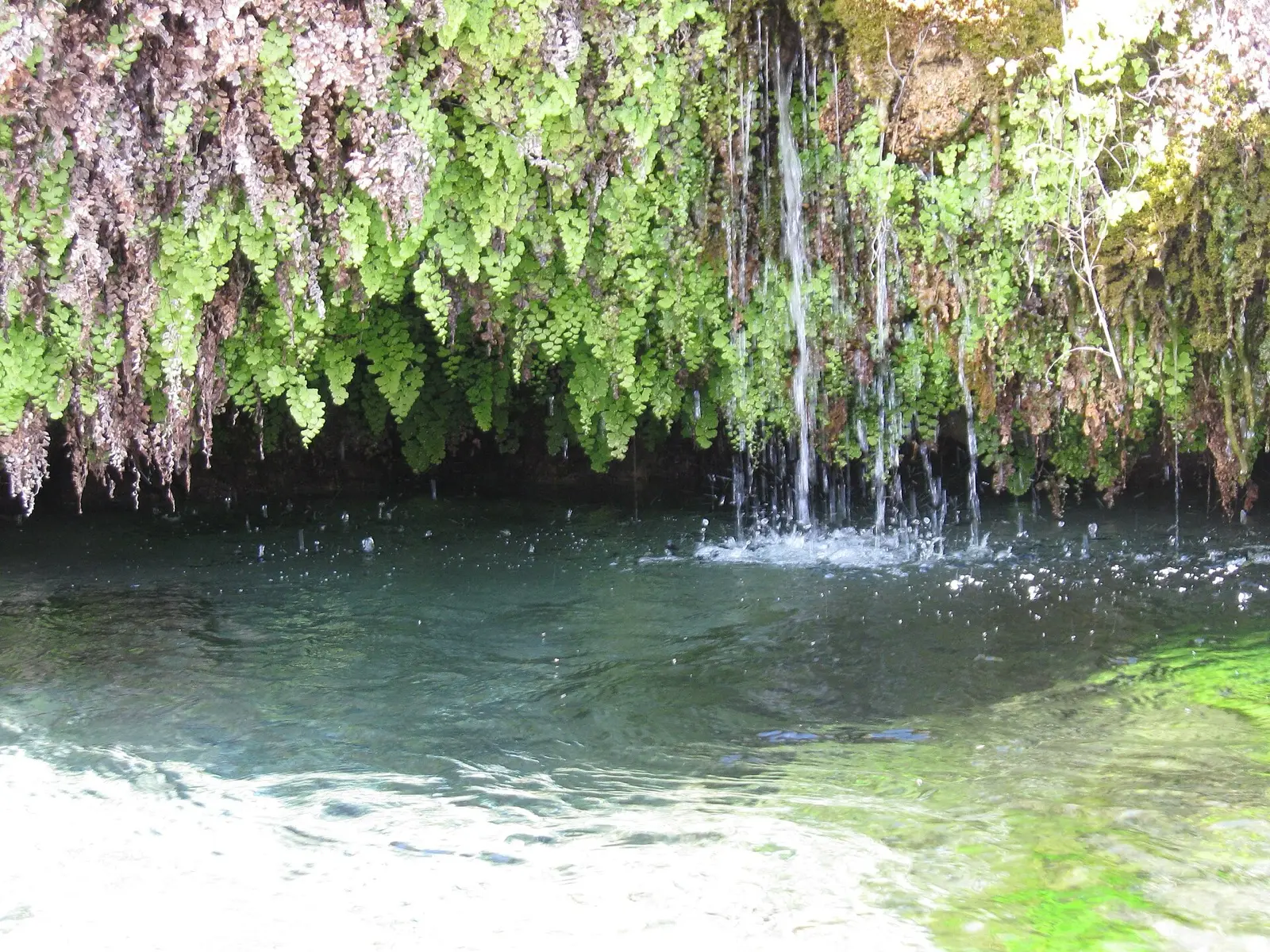 Gandy Warm Springs, photo 1