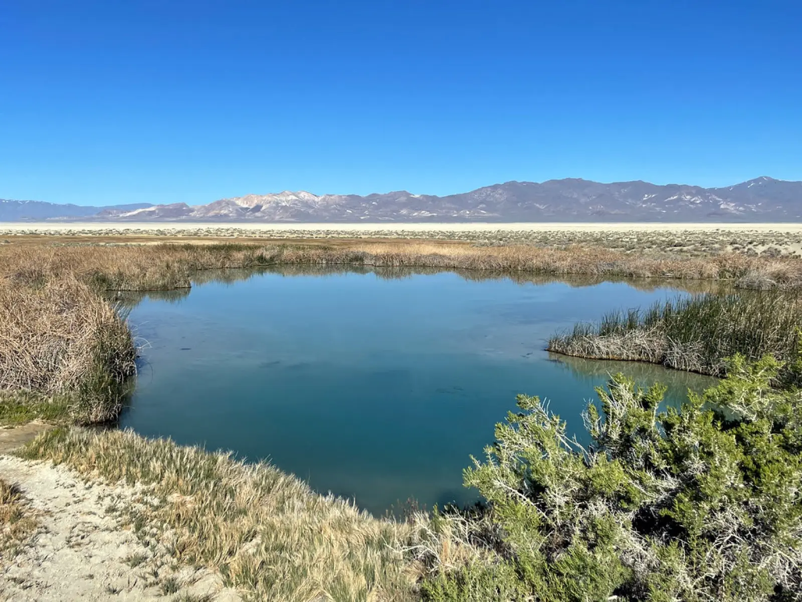Black Rock Hot Springs, Nevada