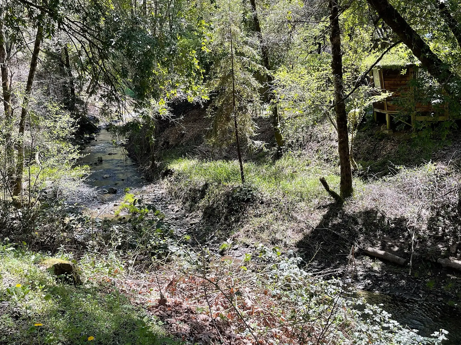 Orr Hot Springs Resort, photo 2