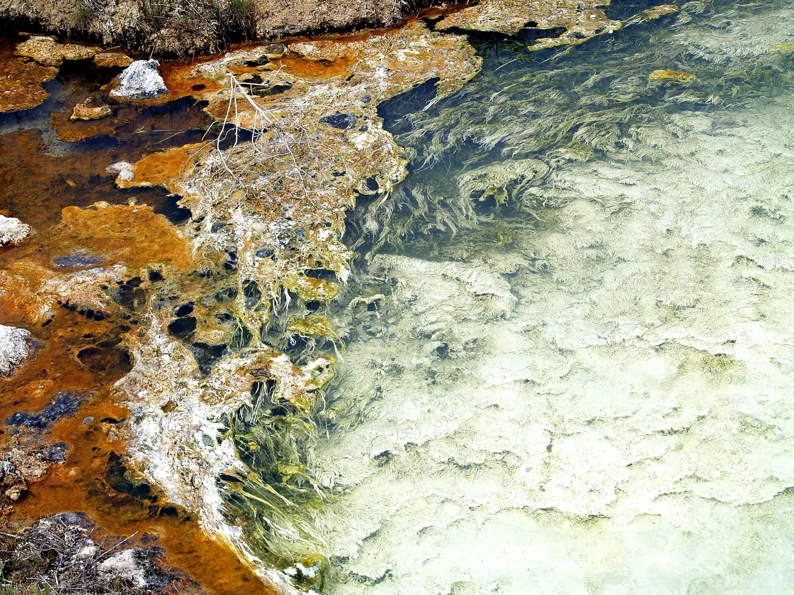 Thermopolis State Bath House, photo 2