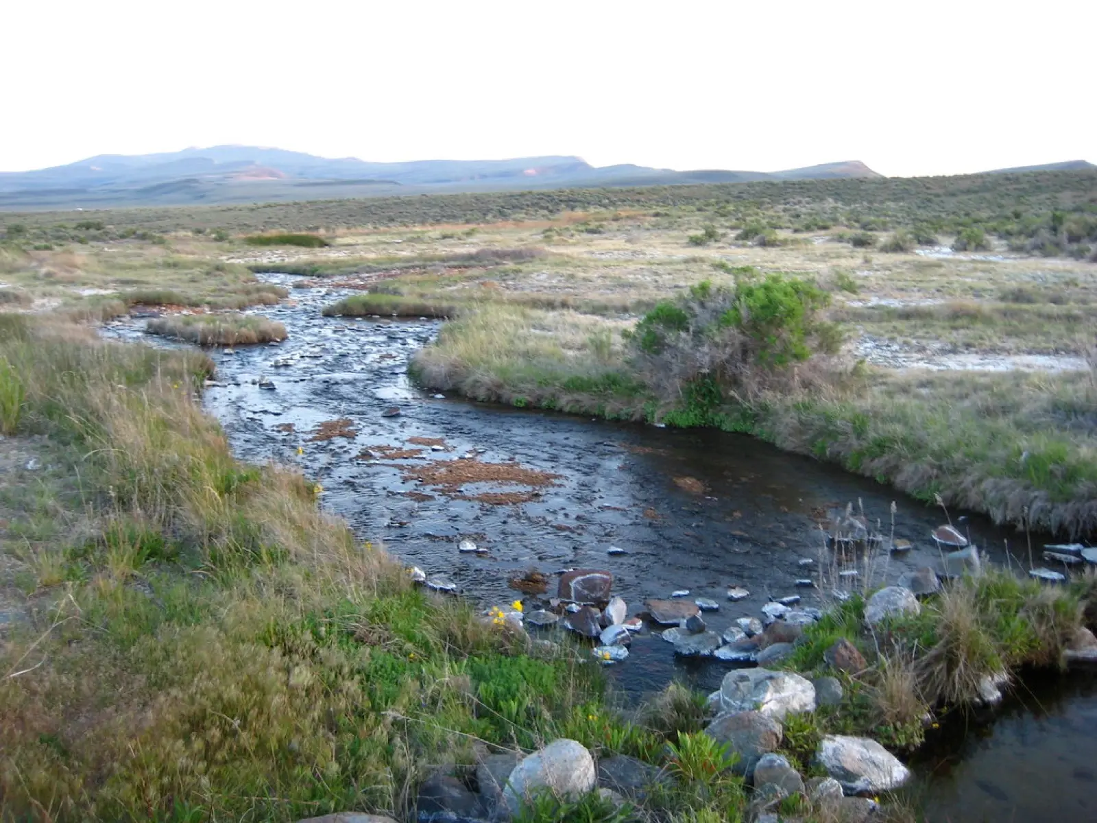 Soldier Meadows Hot Spring, photo 2