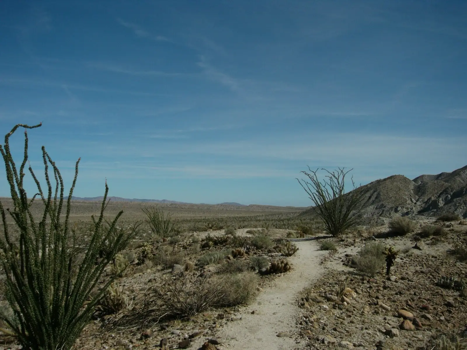 Agua Caliente County Park Hot Springs, photo 2