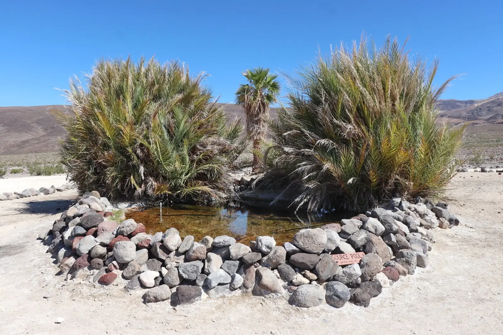 Palm Spring, Saline Valley, photo 2