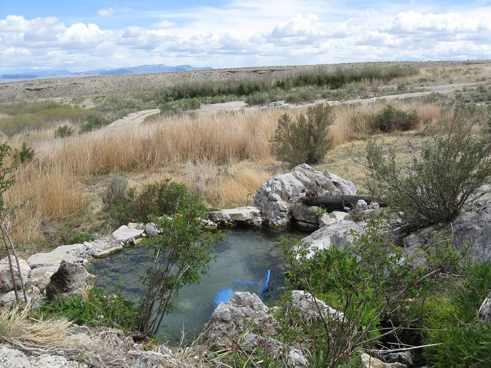 Gandy Warm Springs, photo 2