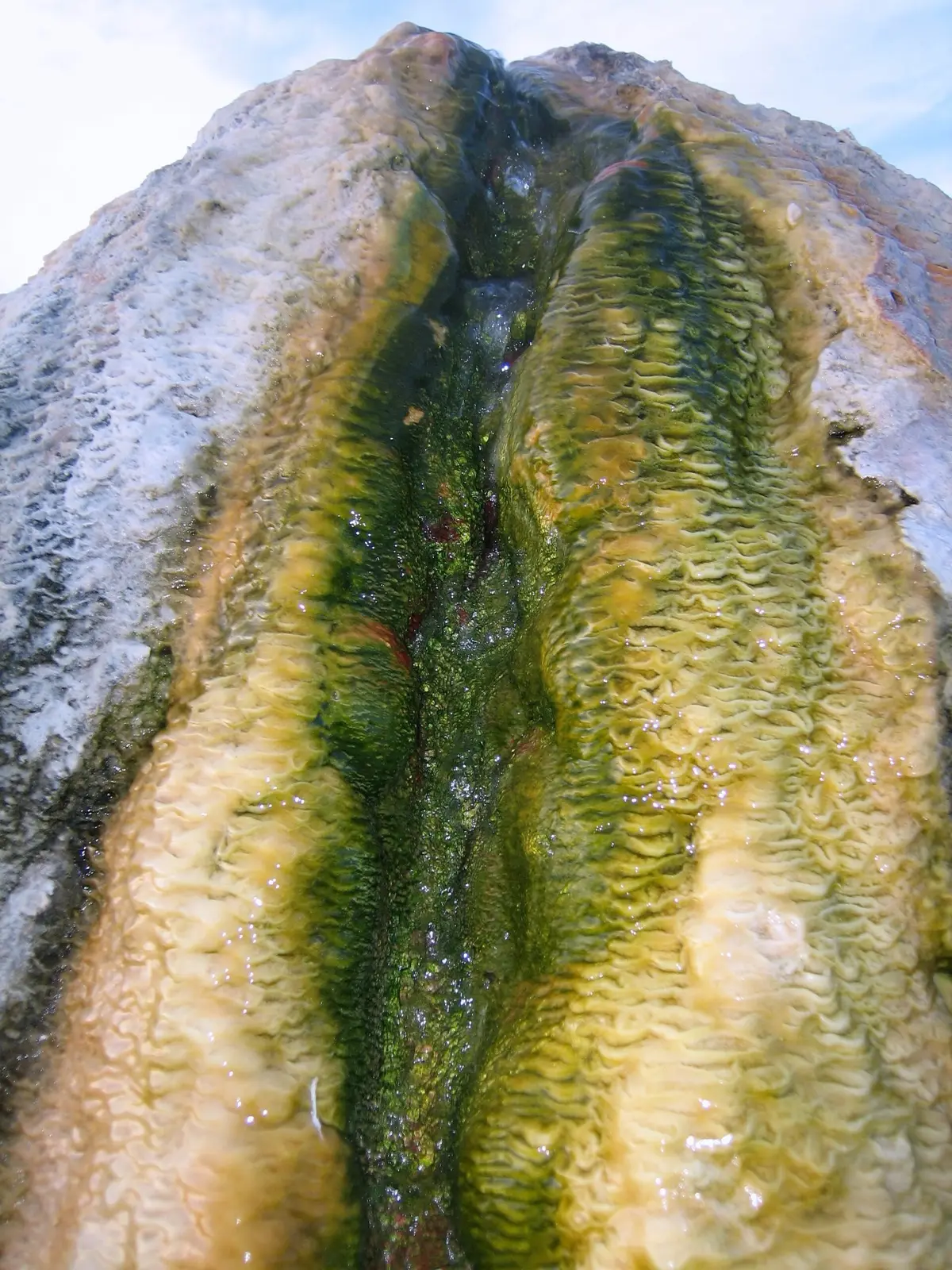 Travertine Hot Springs, photo 2