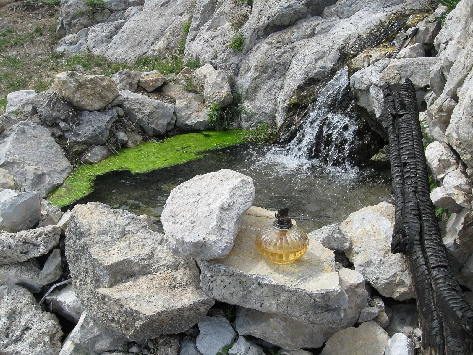 Gandy Warm Springs, photo 3
